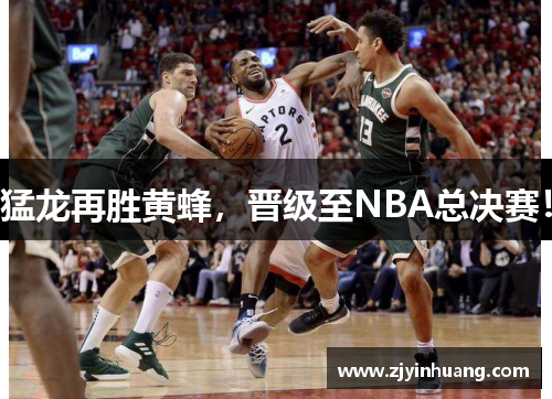 猛龙再胜黄蜂，晋级至NBA总决赛！
